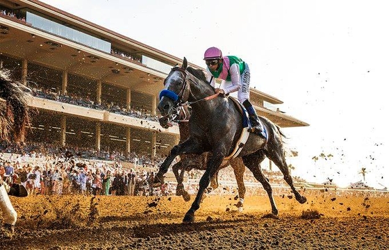 Pegasus World Cup Invitational 