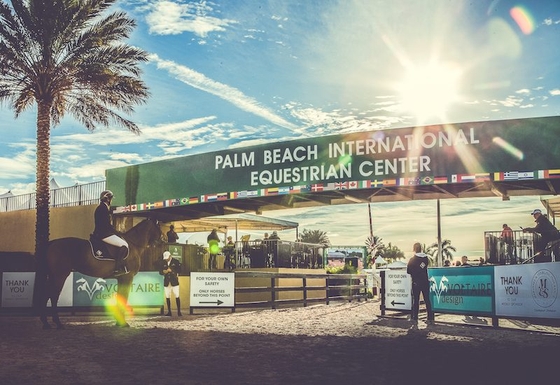 Winter Equestrian Festival