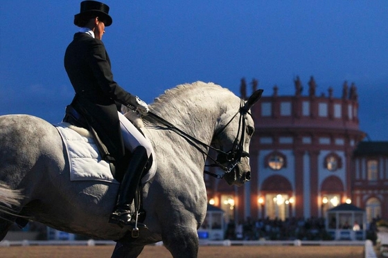 CSI 5* Wiesbaden, Германия