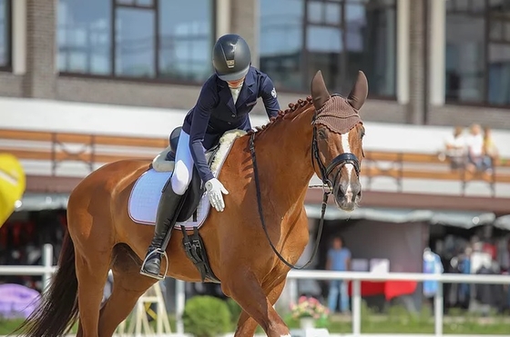 Этап Кубка Гефест/этап Кубка Maxima Stables/Огни Москвы/CSI1*/J/Ch/Y / CDI2* Y/J/Ch/