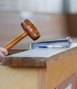 Главный аукцион орловской рысистой породы уже скоро!