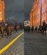 Ленинградские лошади пройдут с Парадом Победы по Красной площади