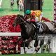 Maurice под седлом Райана Мура