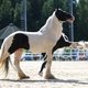  / Фотограф: предоставлено организаторами