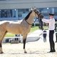  / Фотограф: предоставлено организаторами