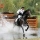 Чемпионат мира по троеборью среди молодых лошадей 