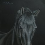 Портет жеребца тракененской породы Блеск 