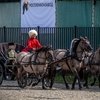 ВЯТСКИЙ ДЕБЮТ В ЧЕМПИОНАТЕ «КРЫЛАТОЕ СЕРДЦЕ РОССИИ»