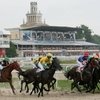Пятигорский ипподром переходит государству: вступило в силу решение суда