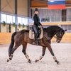 Российский кандидат в Комитет по выездке FEI: Марина Афрамеева