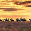7 непридуманных пробежных историй