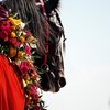 Аглямова Александра. Поэзия бегов