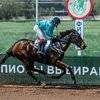 На ростовском ипподроме прошли скачки в закрытом формате