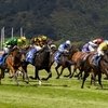 Семь ипподромов Новой Зеландии могут закрыться в рамках реформы
