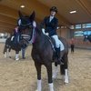 Лошадь Карины Кассё Крют погибла после несчастного случая в конюшне