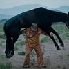 В Бишкеке открываются VI Всемирные игры кочевников: Россию представит одна из крупнейших команд