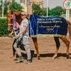 Кубок Губернатора вернул зрителей на Ростовский ипподром