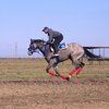  В Кунбатаре пройдут праздничные скачки