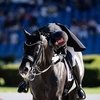 От Пауля Шокемюле уходит ведущий берейтор