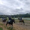 Костромской ипподром: конный спорт останется приоритетом