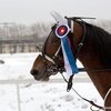 ЦМИ: первые традиционные призы 2016 года!