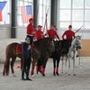 Итоги съезда в Лыткарино: джигитовка обретает международное значение