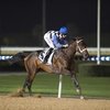 Полар Ривер: победа в 1000 Guineas!