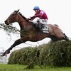 Grand National: победу одержал Рул зе Ворлд!