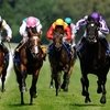 Betfair 10 мая запустит первую биржу ставок в США совместно с ипподромом Monmouth Park