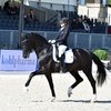 Чемпионат мира среди молодых лошадей в Эрмело: итоги