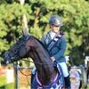 Гран-при турнира LGCT в Нидерландах выиграл Рольф-Горан Бенгтссон! 