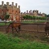 Готовится документация на реконструкцию Старожиловского конного завода