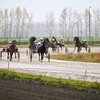 На ипподроме «Алтай» разыграли 2 млн рублей