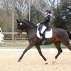Екатерина Аристова примет участие в Global Dressage Forum.
