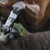 Седьмому турниру CCI4* быть.