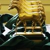 Арабские лошади на Голливудских холмах