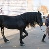 На ВДНХ построят новый конноспортивный манеж