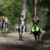 Соревнования по конным пробегам в Падизе.