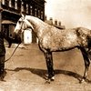 Приз Крепыша будет разыгран 19 ноября.