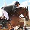 Топовая лошадь Кевина Стаута отправлена на пенсию