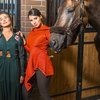 Get horse – get everything!