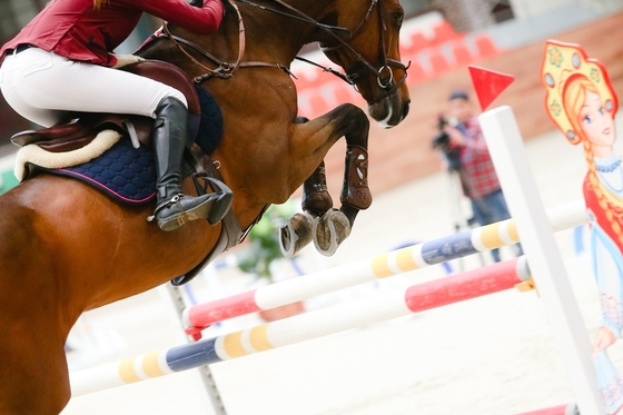 Международные соревнования по конкуру CSI 3* - в Maxima Stables!
