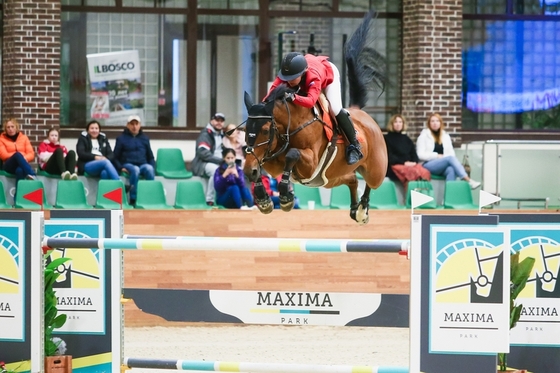 Октябрь в Maxima Stables!