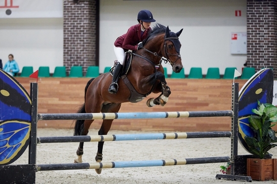 Кубок Гефест в Maxima Stables: Итоги второго дня