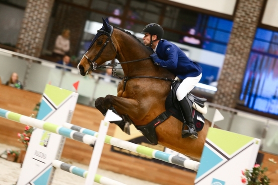Январь в Maxima Stables!