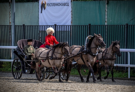 ВЯТСКИЙ ДЕБЮТ В ЧЕМПИОНАТЕ «КРЫЛАТОЕ СЕРДЦЕ РОССИИ»