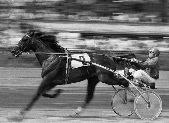 Сорренто. Последний император Советского Союза