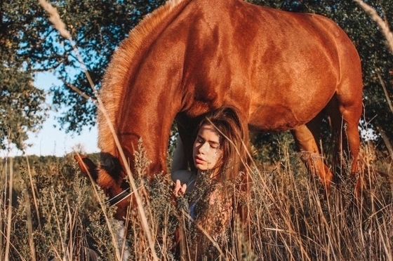 Подозреваемый в отравлении лошадей в Волжском отпущен под подписку о невыезде