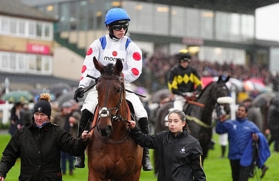 Трагедия в Кемптон-Парке: на скачках погибли три лошади