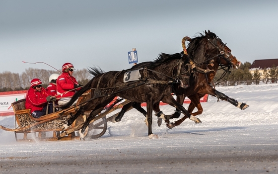 Итоги и рекорды юбилейного фестиваля «Сибирская Масленица»